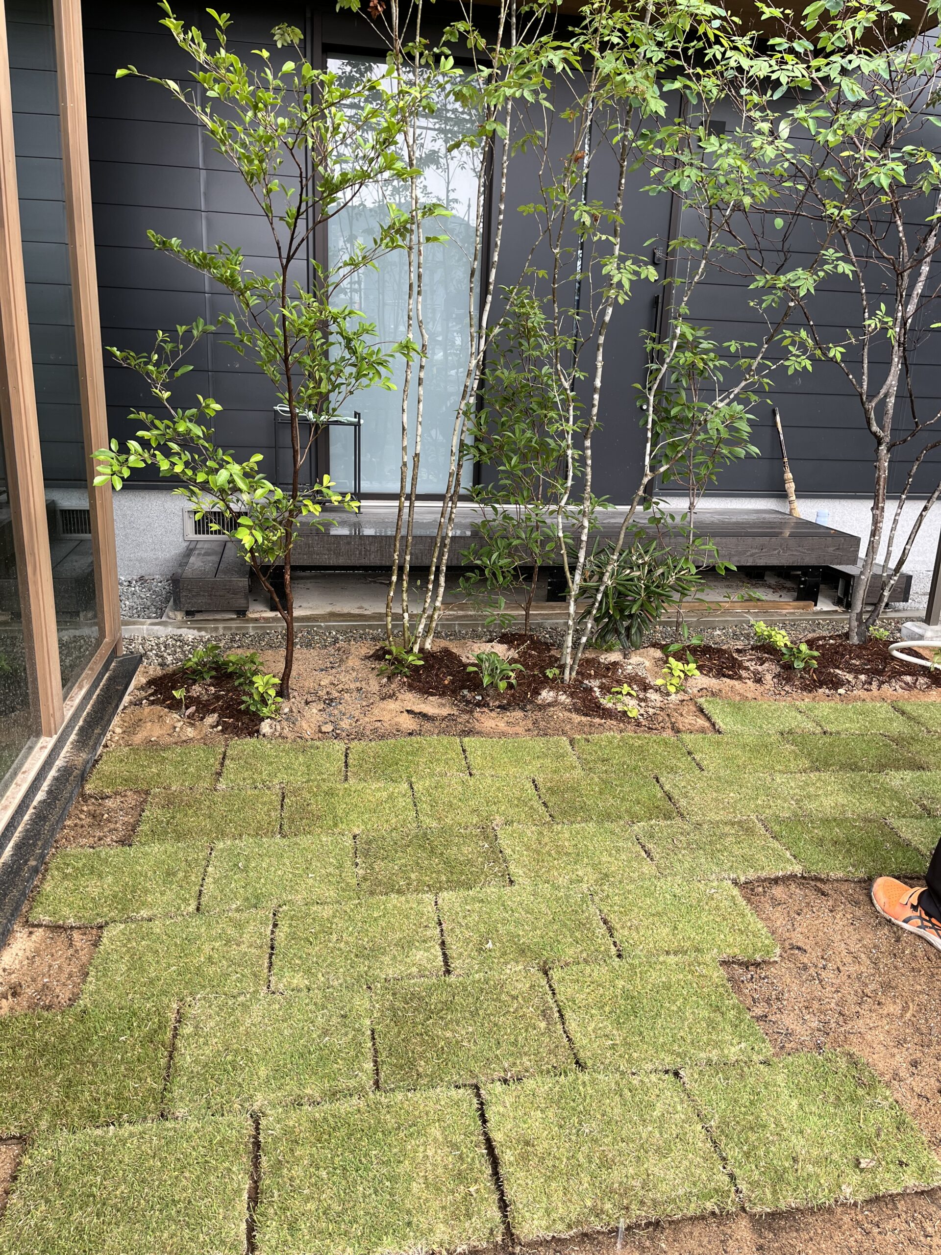 芝生張り