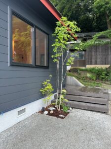 ドライテック